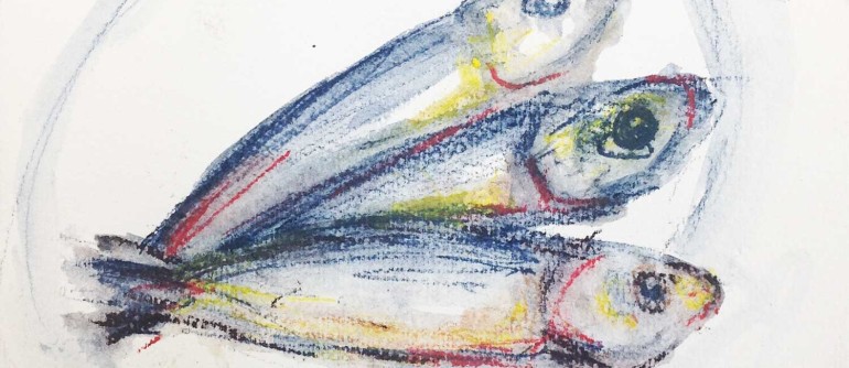 fish-coloured-drawing